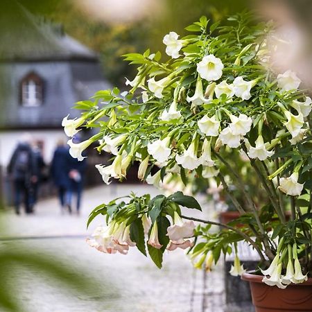 Hideaway Im Odenwald Nahe Heidelberg Διαμέρισμα Eberbach  Εξωτερικό φωτογραφία